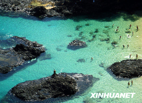 费尔南多—迪诺罗尼亚岛不朽情缘app美丽